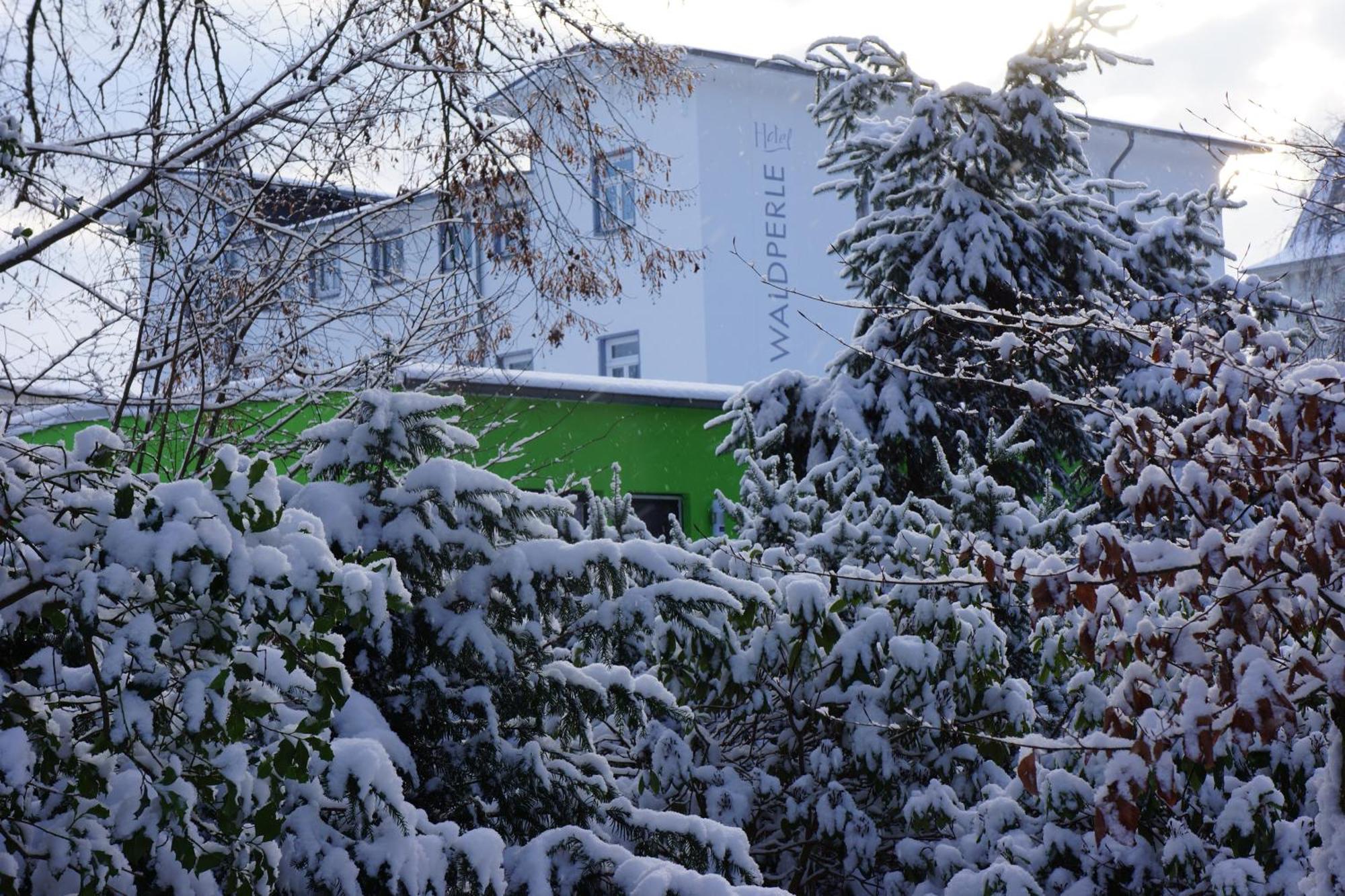 Hotel Waldperle Graal-Mueritz Exterior photo