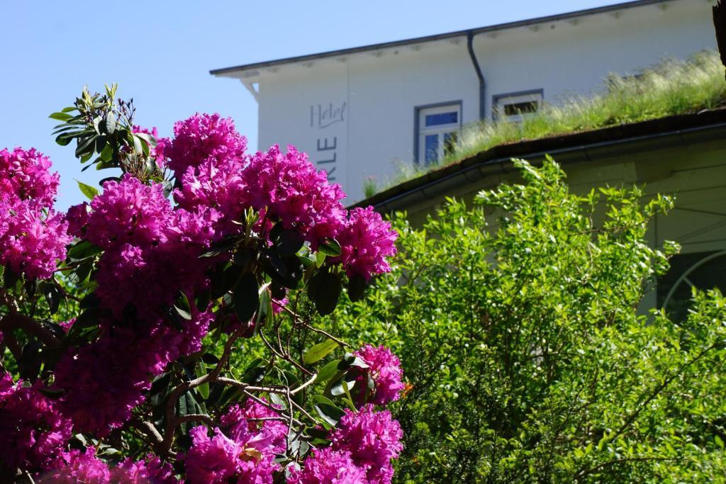 Hotel Waldperle Graal-Mueritz Exterior photo